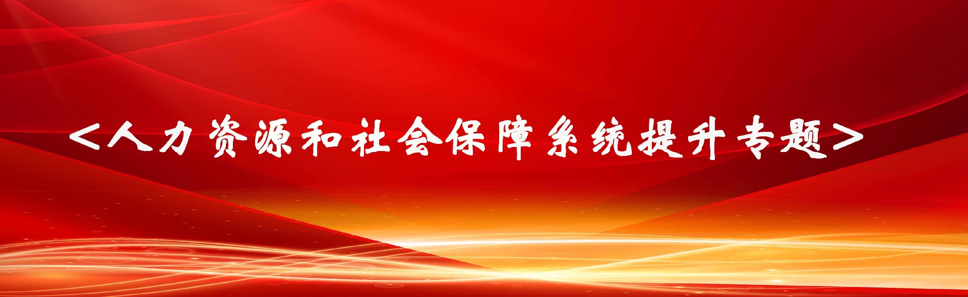 人力资源和社会保障系统专题总结